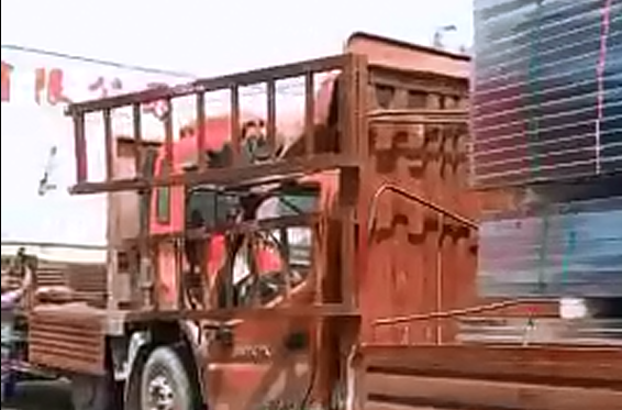 發(fā)貨現(xiàn)場(chǎng)視頻